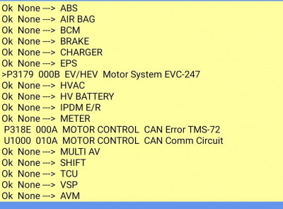 leafspy faults.jpg