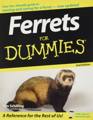 ferrets.jpg