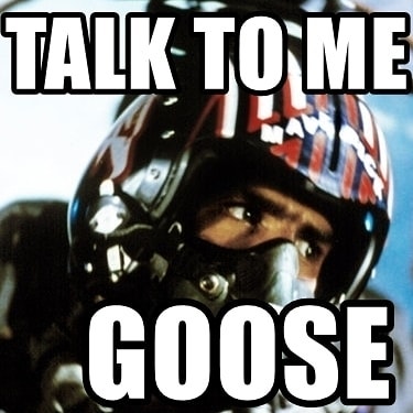 talk to me goose.jpg