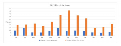 2021 Electricity Usage.jpg
