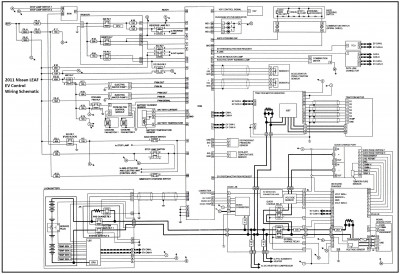 Leaf_schematic_EVC.jpg