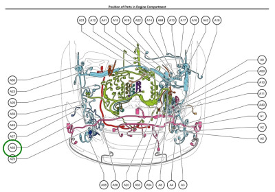 A Wiring Harness - Oil Pump 2.jpg