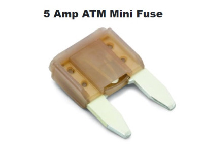 5 Amp ATM Mini Fuse.jpg