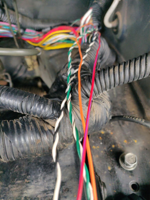 Throttle Wires.jpg