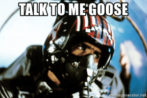 goose.png