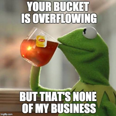 kermit bucket.jpg