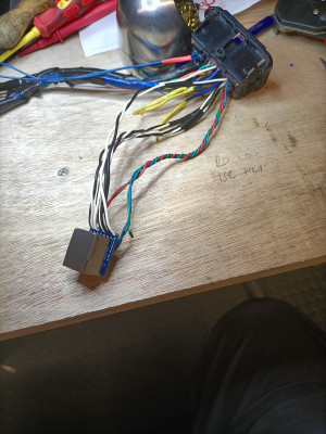 IMG20231205121911.jpg