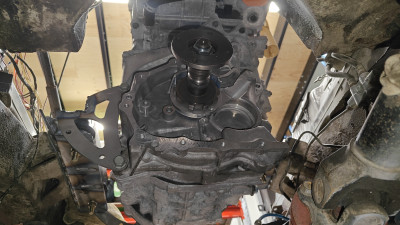 IMG20240812190509.jpg