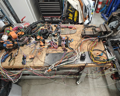 Main harness cleaned.jpg