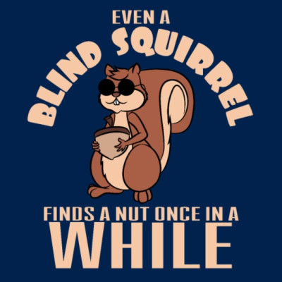 even-a-blind-squirrel-finds-a-nut-once-in-awhile.jpg