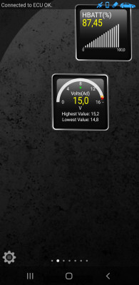 Screenshot_20250102-153052_Torque.jpg