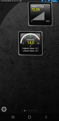 Screenshot_20241221-180243_Torque.jpg