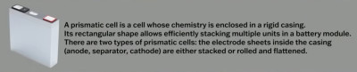 prismatic cell.jpg