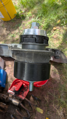 PXL_20250629_123536839.jpg