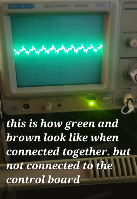 20250712_170311.jpg