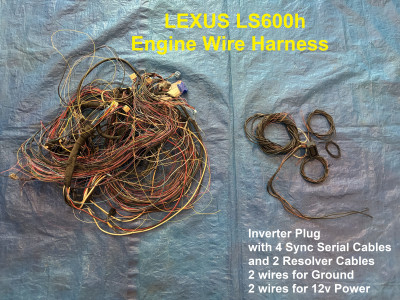 IMG_3138 labeled.jpg