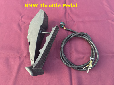 IMG_5212 Labeled.jpg