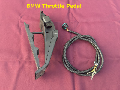 IMG_5210 Labeled.jpg