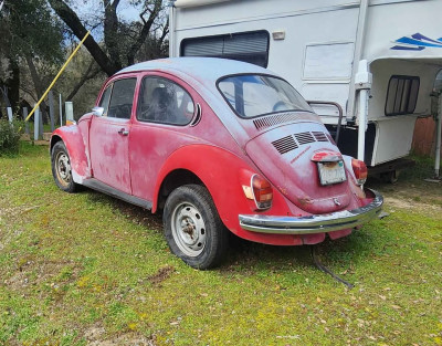 1972 VW Beetle Rear.jpg