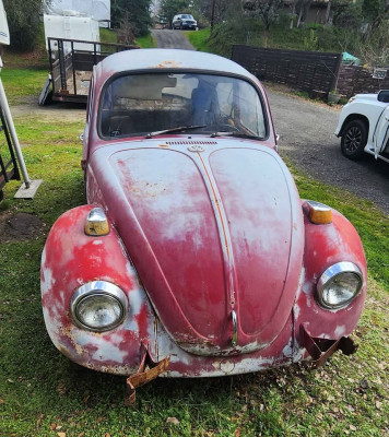 1972 VW Beetle Front Vertical.jpg