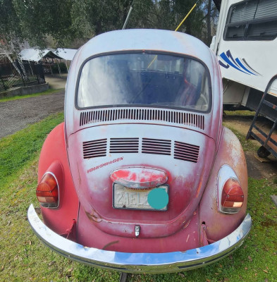 1972 VW Beetle Rear Vertical.jpg