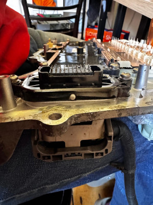 header in profile.jpeg (230.14 KiB) Viewed 340 times header in profile.jpeg