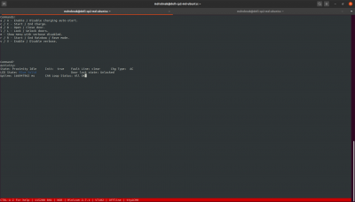 terminal_screenshot.png