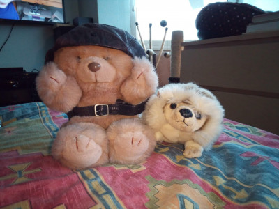 speedbear.jpg