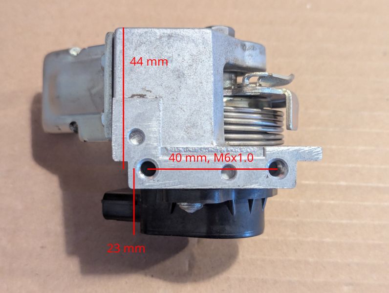 File:Underside view.jpg