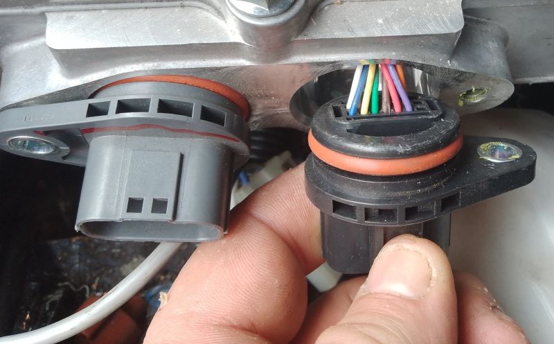 File:Black plug 1.jpg