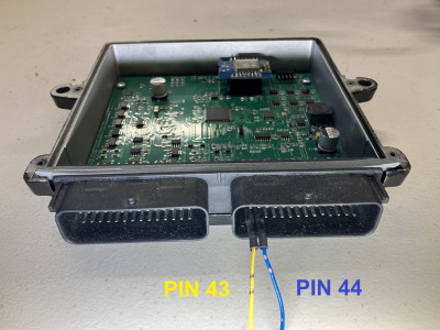 IMG_5192 Labeled.jpg