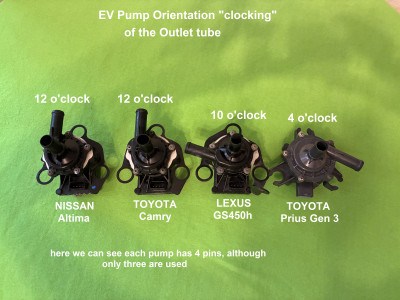 IMG_1080 labeled.jpg